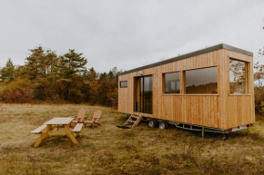 Parcel Tiny House Champagne